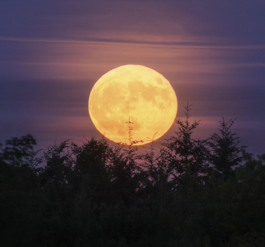 The bottom full moon since 2006 is upon us