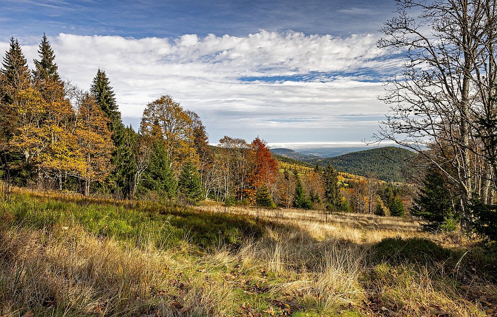 Šumava - podzim