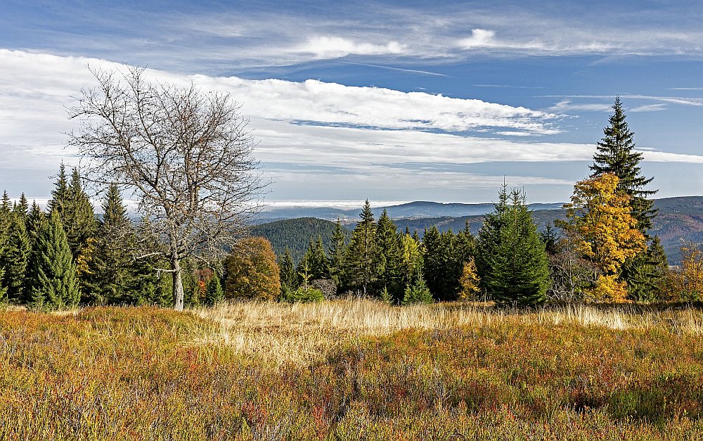 Šumava - podzim