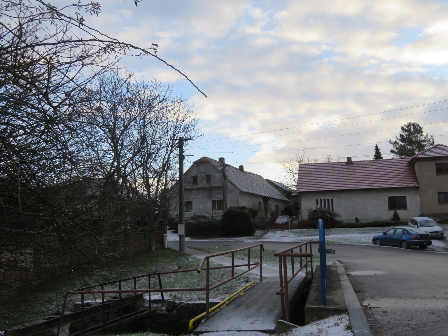 Třibřichy