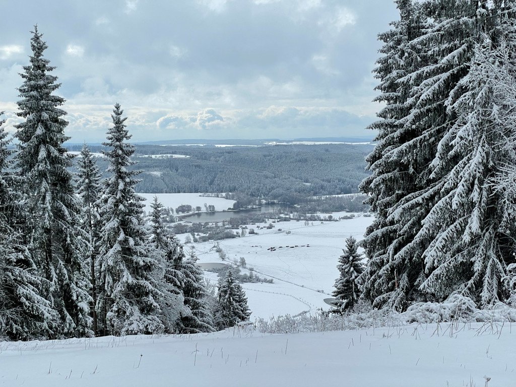 Třebouňský vrch