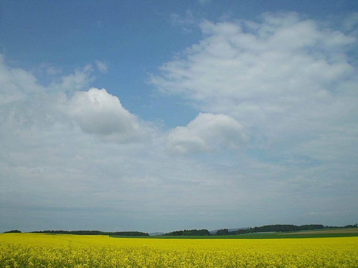 Hostákov