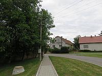 Třibřichy