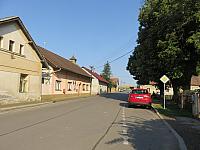 Třibřichy