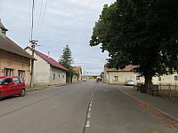 Třibřichy