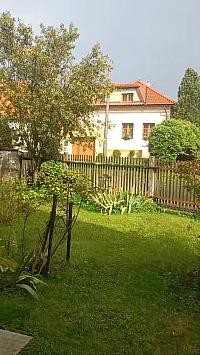 Třibřichy