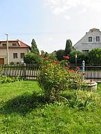 Třibřichy