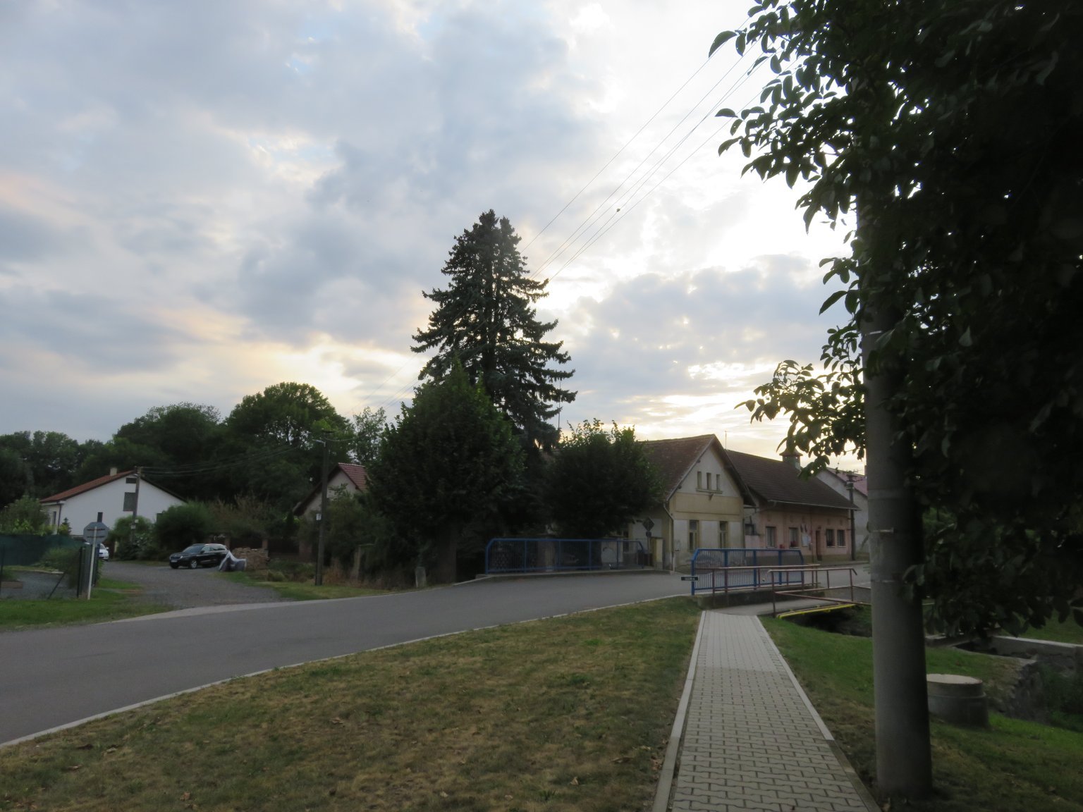 Třibřichy