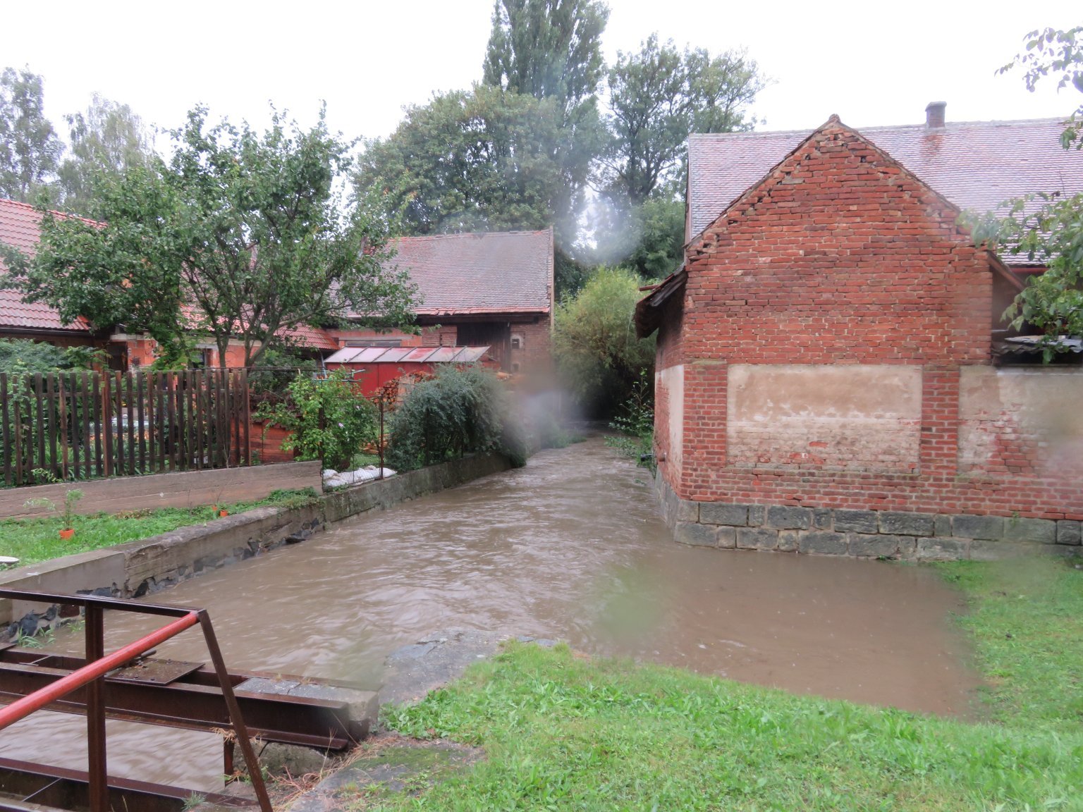 Třibřichy