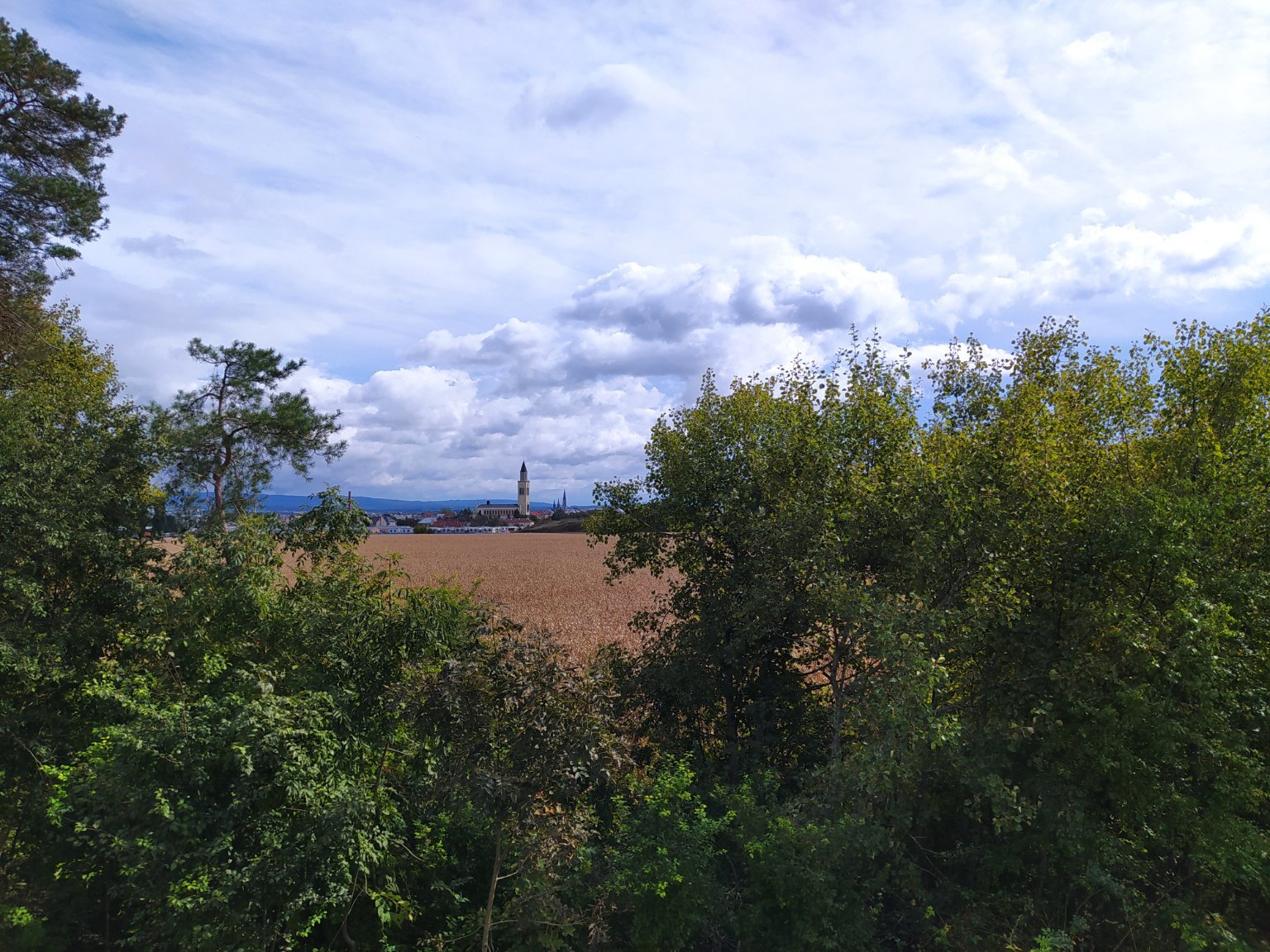 Olomouc, Šibeník