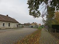 Třibřichy