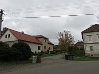 Třibřichy