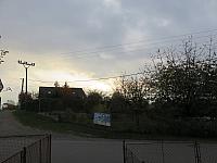 Třibřichy