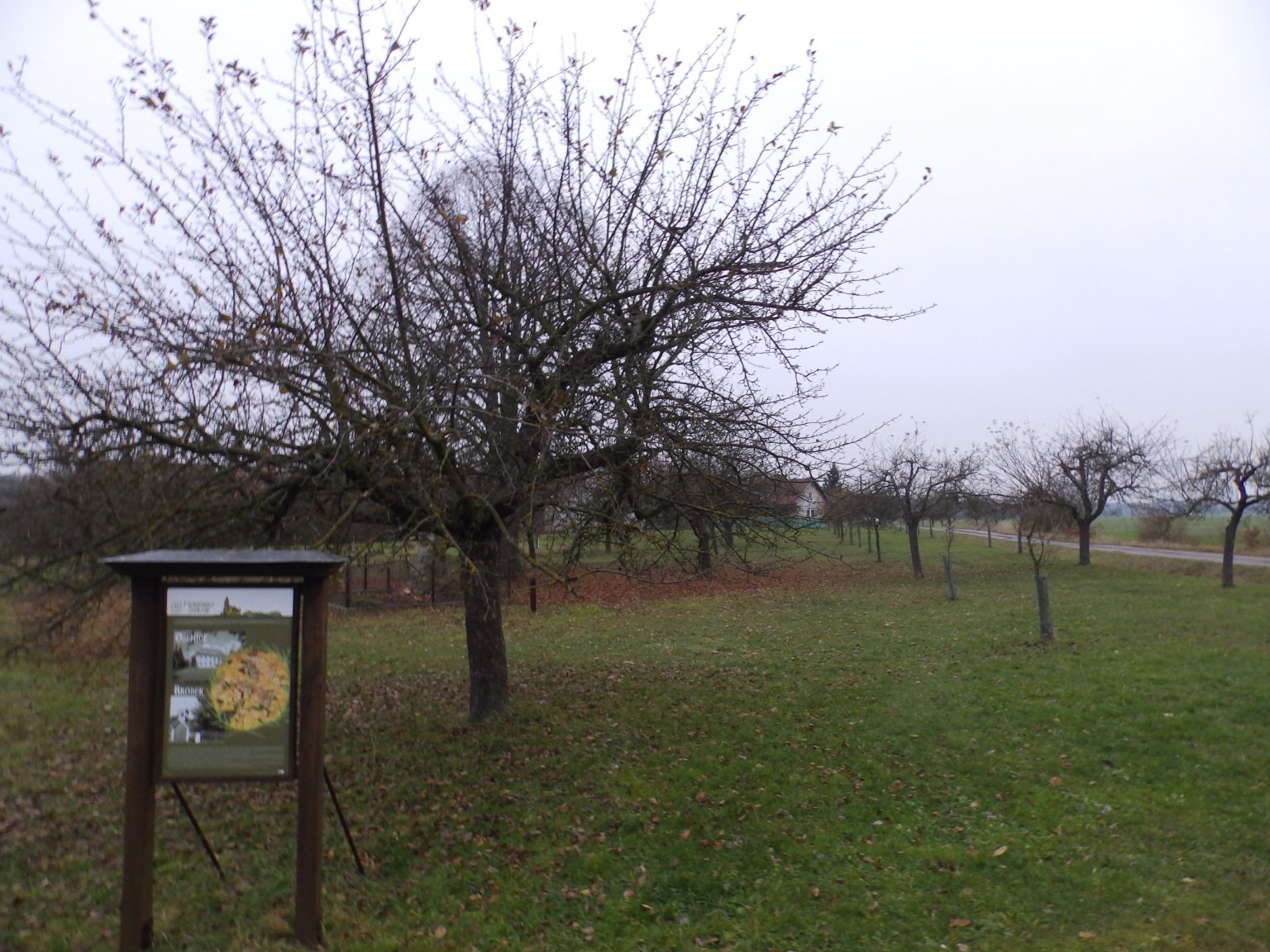 Dětenice-Brodek